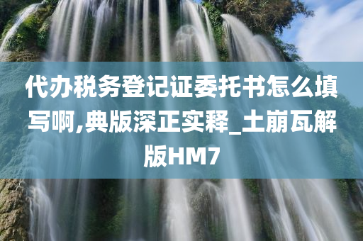 代办税务登记证委托书怎么填写啊,典版深正实释_土崩瓦解版HM7