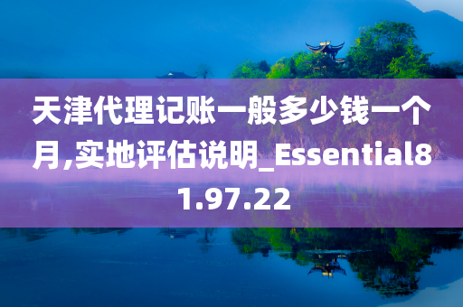 天津代理记账一般多少钱一个月,实地评估说明_Essential81.97.22