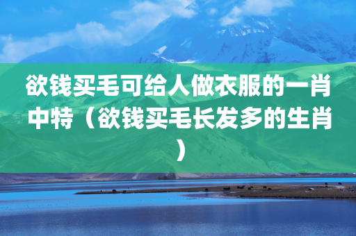 欲钱买毛可给人做衣服的一肖中特（欲钱买毛长发多的生肖）