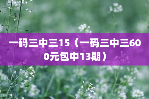 一码三中三15（一码三中三600元包中13期）