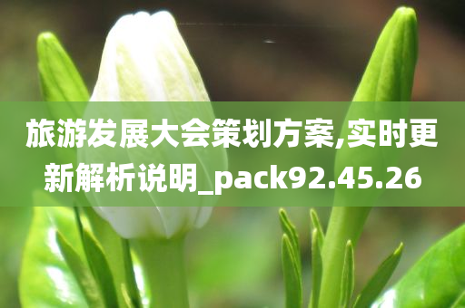 旅游发展大会策划方案,实时更新解析说明_pack92.45.26