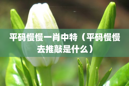 平码慢慢一肖中特（平码慢慢去推敲是什么）