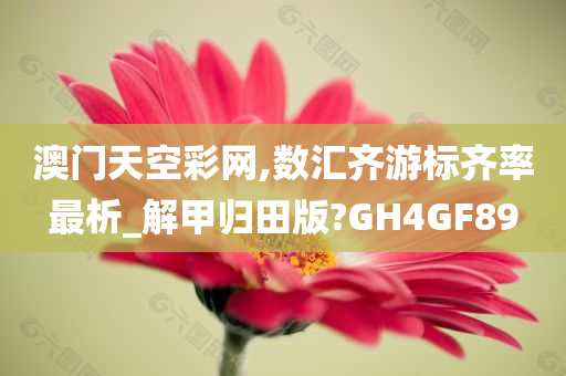 澳门天空彩网,数汇齐游标齐率最析_解甲归田版?GH4GF89