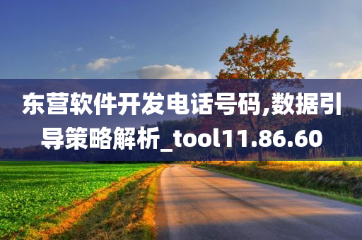 东营软件开发电话号码,数据引导策略解析_tool11.86.60