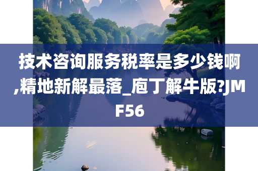 技术咨询服务税率是多少钱啊,精地新解最落_庖丁解牛版?JMF56