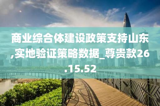 商业综合体建设政策支持山东,实地验证策略数据_尊贵款26.15.52