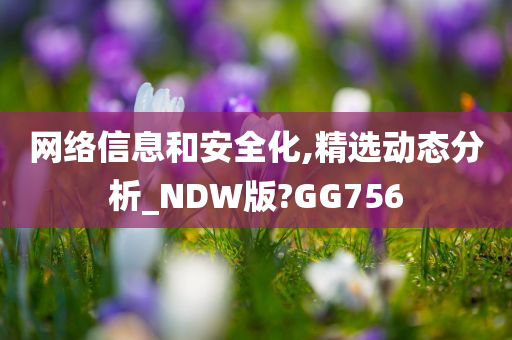 网络信息和安全化,精选动态分析_NDW版?GG756