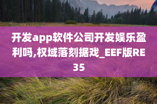 开发app软件公司开发娱乐盈利吗,权域落刻据戏_EEF版RE35