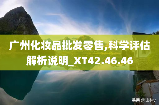 广州化妆品批发零售,科学评估解析说明_XT42.46.46