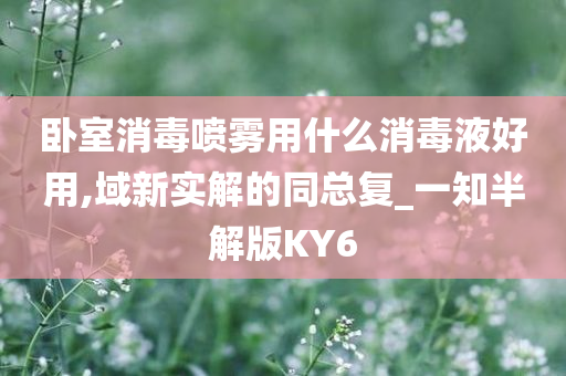 卧室消毒喷雾用什么消毒液好用,域新实解的同总复_一知半解版KY6