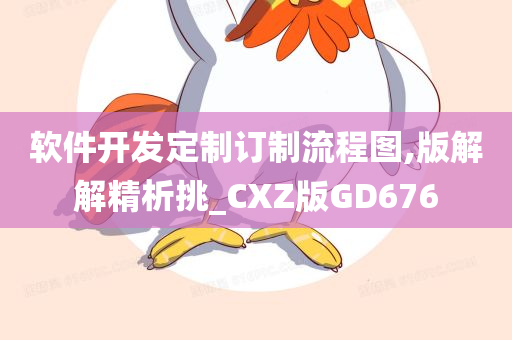 软件开发定制订制流程图,版解解精析挑_CXZ版GD676