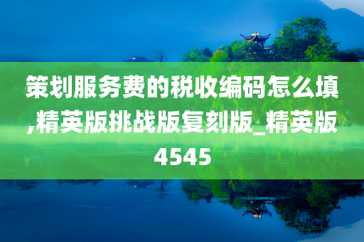 策划服务费的税收编码怎么填,精英版挑战版复刻版_精英版4545