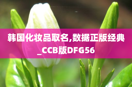 韩国化妆品取名,数据正版经典_CCB版DFG56