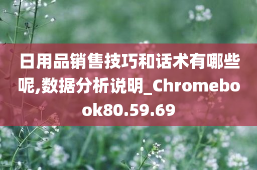 日用品销售技巧和话术有哪些呢,数据分析说明_Chromebook80.59.69