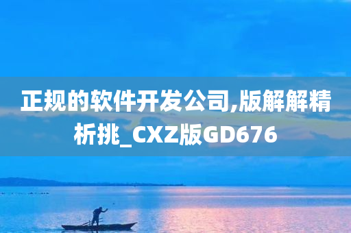 正规的软件开发公司,版解解精析挑_CXZ版GD676