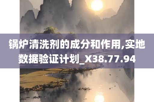 锅炉清洗剂的成分和作用,实地数据验证计划_X38.77.94