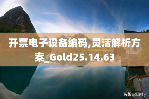 开票电子设备编码,灵活解析方案_Gold25.14.63