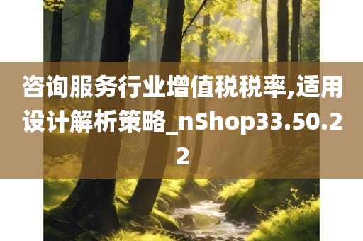 咨询服务行业增值税税率,适用设计解析策略_nShop33.50.22