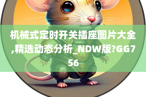 机械式定时开关插座图片大全,精选动态分析_NDW版?GG756