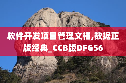 软件开发项目管理文档,数据正版经典_CCB版DFG56