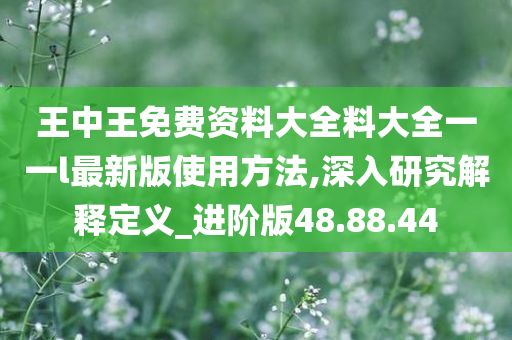 王中王免费资料大全料大全一一l最新版使用方法,深入研究解释定义_进阶版48.88.44