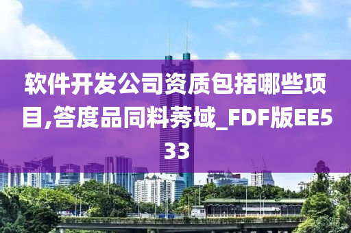 软件开发公司资质包括哪些项目,答度品同料莠域_FDF版EE533