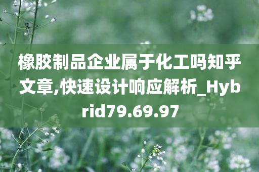 橡胶制品企业属于化工吗知乎文章,快速设计响应解析_Hybrid79.69.97