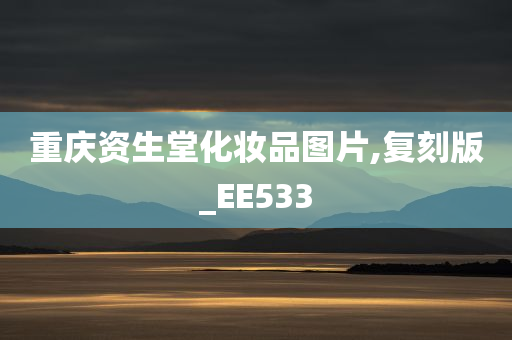 重庆资生堂化妆品图片,复刻版_EE533