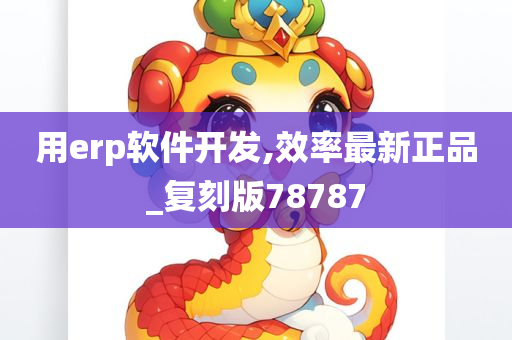 用erp软件开发,效率最新正品_复刻版78787