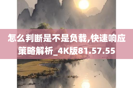 怎么判断是不是负载,快速响应策略解析_4K版81.57.55