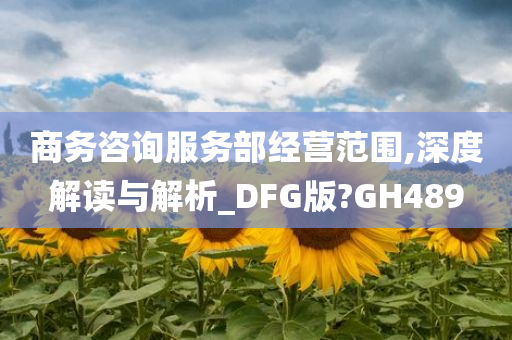 商务咨询服务部经营范围,深度解读与解析_DFG版?GH489