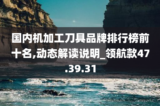 国内机加工刀具品牌排行榜前十名,动态解读说明_领航款47.39.31