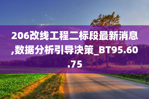 206改线工程二标段最新消息,数据分析引导决策_BT95.60.75