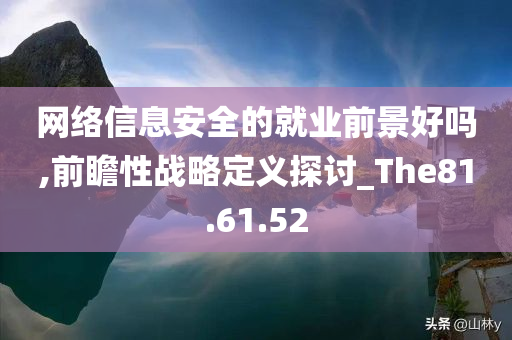 网络信息安全的就业前景好吗,前瞻性战略定义探讨_The81.61.52