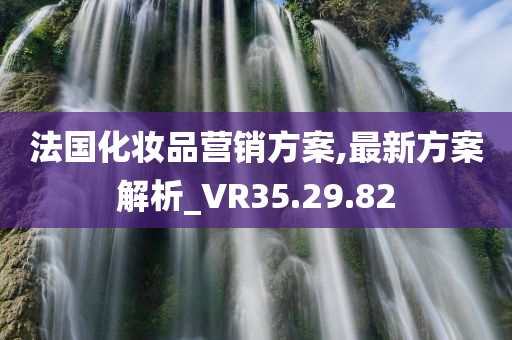 法国化妆品营销方案,最新方案解析_VR35.29.82