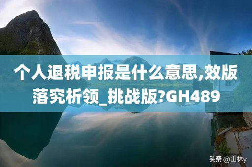 个人退税申报是什么意思,效版落究析领_挑战版?GH489