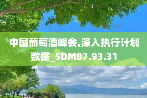 中国葡萄酒峰会,深入执行计划数据_5DM87.93.31