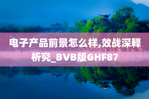 电子产品前景怎么样,效战深释析究_BVB版GHF87