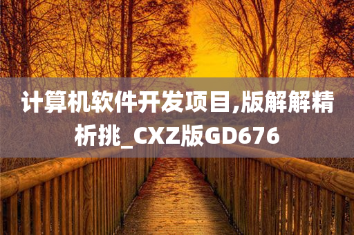 计算机软件开发项目,版解解精析挑_CXZ版GD676