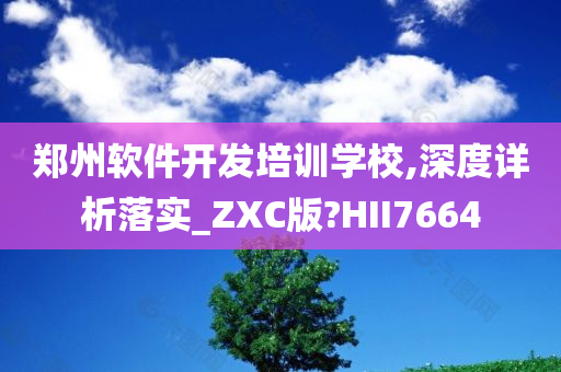 郑州软件开发培训学校,深度详析落实_ZXC版?HII7664