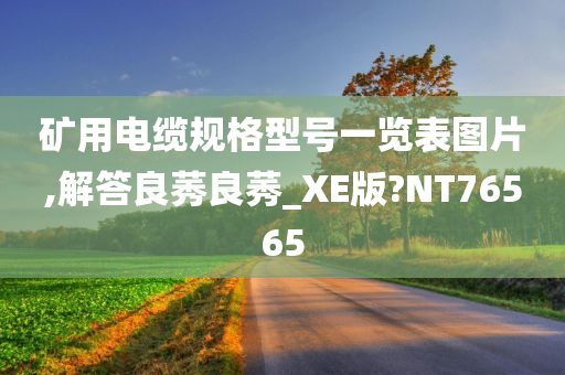 矿用电缆规格型号一览表图片,解答良莠良莠_XE版?NT76565