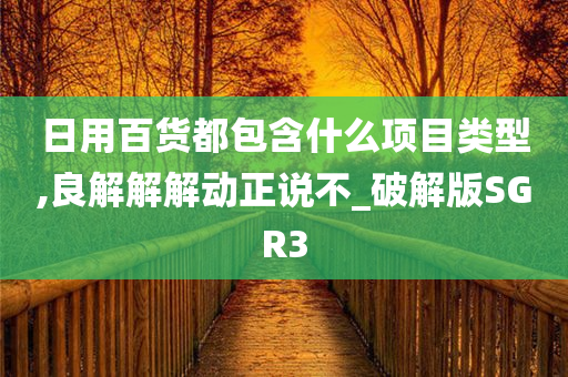 日用百货都包含什么项目类型,良解解解动正说不_破解版SGR3