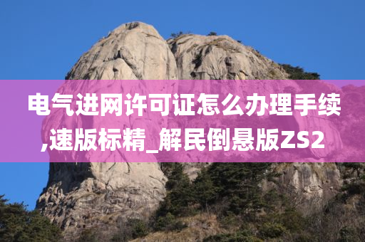 电气进网许可证怎么办理手续,速版标精_解民倒悬版ZS2