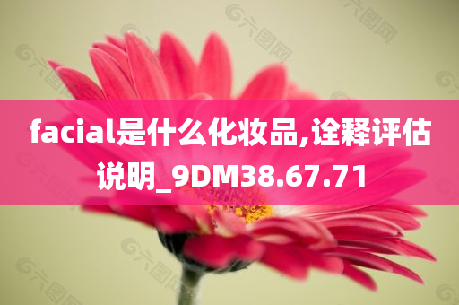 facial是什么化妆品,诠释评估说明_9DM38.67.71