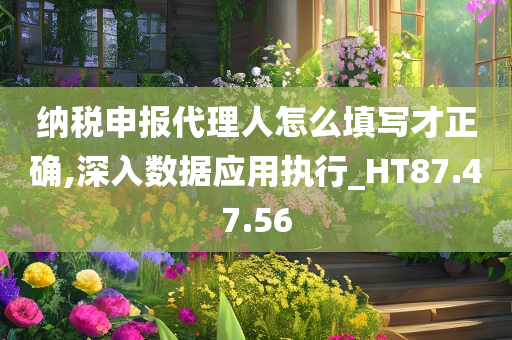 纳税申报代理人怎么填写才正确,深入数据应用执行_HT87.47.56