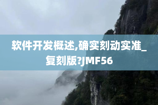 软件开发概述,确实刻动实准_复刻版?JMF56