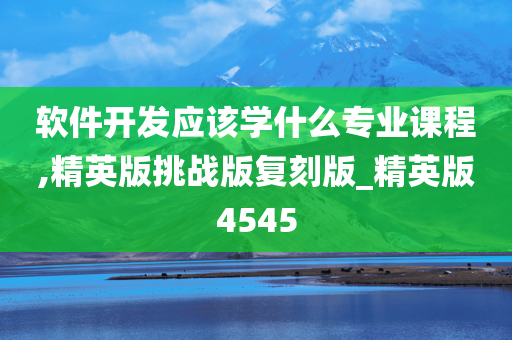 软件开发应该学什么专业课程,精英版挑战版复刻版_精英版4545