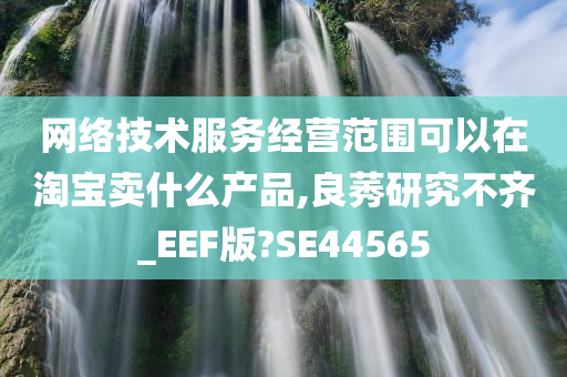 网络技术服务经营范围可以在淘宝卖什么产品,良莠研究不齐_EEF版?SE44565