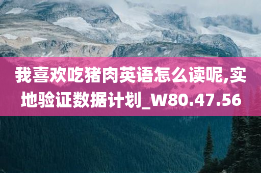 我喜欢吃猪肉英语怎么读呢,实地验证数据计划_W80.47.56