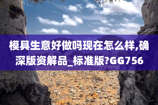 模具生意好做吗现在怎么样,确深版资解品_标准版?GG756